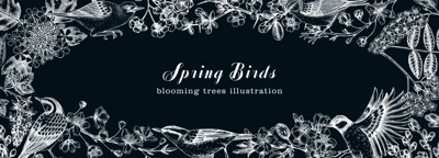 Spring garden background with birds, flowers, blooming tree branches on chalkboard. Hand drawn almond, willow, rowan, willow, cherry blossom design. Floral sketches frame